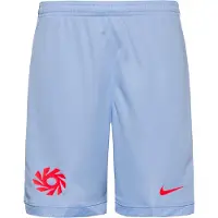 Nike Treenishortsit Dri-FIT Academy 25 Erling Haaland - Kuninkaallinen sävy/Punainen Lapset, koko XL: 158-170 cm
