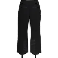 Spyder Winner Lengths Gore-tex Housut