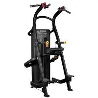 Hoist Avustettu leuanveto- ja dippiteline HD-3701 Chin/Dip Assist, Painopakalla