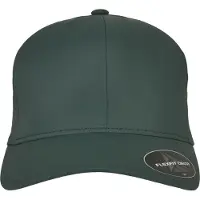 Flexfit Delta Lippis