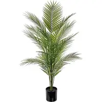 Mr Plant , Vuoripalmu vihreä ruukkukasvi 110 cm