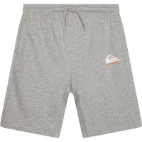 Quiksilver Easy Day Jogger Short Youth - Grey - 8