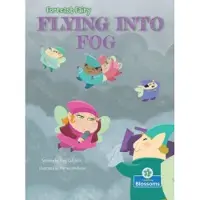 Bookoutlet Flying Into Fog