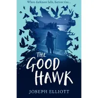 Bookoutlet The Good Hawk (Shadow Skye, Book One)