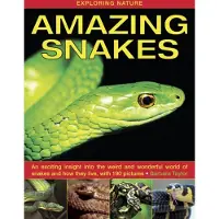 Bookoutlet Exploring Nature: Amazing Snakes
