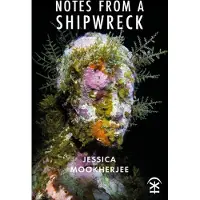 Notes from a Shipwreck