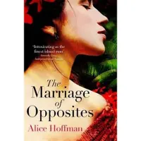 The Marriage of Opposites
