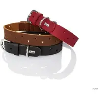 Hunter - Koiran panta Aalborg Soul Cognac S-M 50 - Kaula 36-41cm - Koirat - Kaulapannat