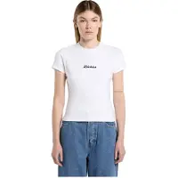 Dickies Wellsville T-Paita valkoinen, S