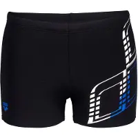 Arena Graphic Swim Uimashortsit