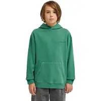 Element Lowcase Pigment Kids Huppari fir Koko T12