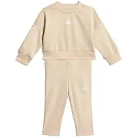 Adidas Seasonals Sweat Aseta