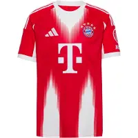 Adidas Trikoo 'FC Bayern München 2025/2026' vaaleansininen / kirkaanpunainen / valkoinen