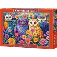 Castorland Palapeli pöllöjen kanssa , 3000 palaa.