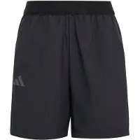 Adidas Terrex Multi Clima365 Shortsit