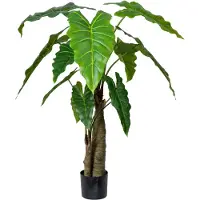 Mr Plant Alokasia-puu 120 cm