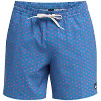 Quiksilver Stretch Printed Volley 16 Surffishortsit riviera mini mayhem Koko S
