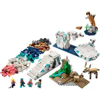 LEGO Arktiset eläimet ‑tiedesetti 45203