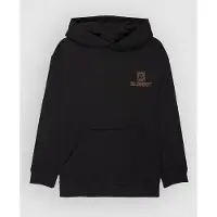 Element Inner Workings Kids Huppari flint black Koko T14