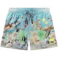 Molo Niko Board Shorts Happy Ocean 86/92 cm Sininen 86/92 cm Pojat, Tytöt