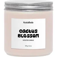 Kosta Boda Mind tuoksukynttilä Cactus Blossom, 330 g