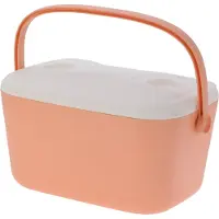 Basics Jäykkä Kannettava Kylmälaukku 20l