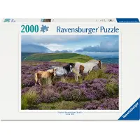Ravensburger Wild Horses 2000P - Purple - ONE SIZE