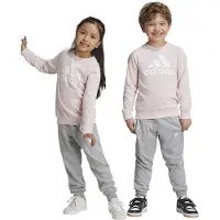 Adidas Essentials Logo French Terry Aseta