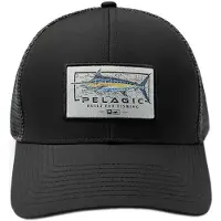 PELAGIC Marlin Minds Lippis
