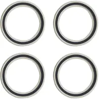 Fulcrum R0-025 Bearings Hopeinen