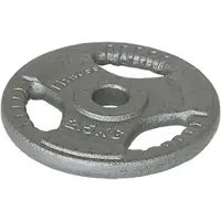 Softee Rauta Painolevy 15kg