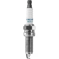 BorgWarner (BERU) Sytytystulppa BorgWarner (BERU) Z544