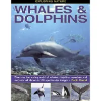 Bookoutlet Exploring Nature: Whales & Dolphins