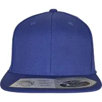 Flexfit 110 Fitted Snapback Lippis