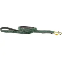Kentucky Nylon Plaited Koiran Hihna 12 Mm