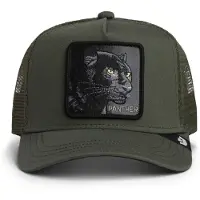 GOORIN BROS. Lippalakki 'Panther' vaaleankeltainen / tummanvihreä / musta