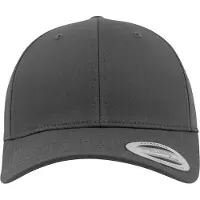 Flexfit Curved Classic Snapback Lippis