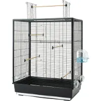 Nobby - Primo 60 Open Empire 80 x 50 x 95/115 cm Musta - Linnut - Lintuhäkit ja kuljetusvälineet - Lintuhäkit
