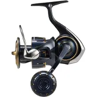 Daiwa 23 Saltiga avokela