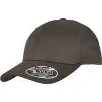 Flexfit 110 Curved Visor Snapback Lippis