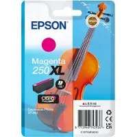 Epson 250XL -mustekasetti, 8.9 ml, magenta