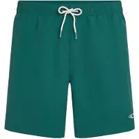 O'Neill Vert 16'' Surffishortsit botanical heat Koko XS