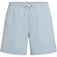 O'Neill Vert 16'' Surffishortsit spindle Koko S