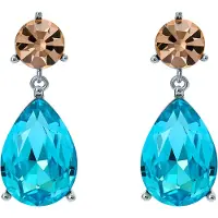 Ted Baker TEAIRE korvakorut 06-TBJ3871-01-100