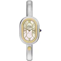 Fossil Analoginen kello kulta / hopea