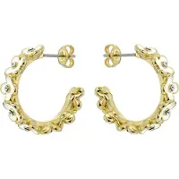 Ted Baker GARVI korvakorut 06-TBJ4144-02-08