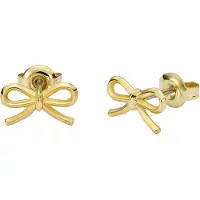 Ted Baker BROOKE korvakorut 06-TBJ4156-02-03