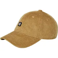 Element Icon Dad Cap Corduroy - Brown - ONE SIZE