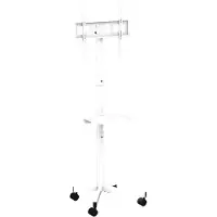 Gembird TV floor stand with caster wheels 32" - 55" - Max 25 kg - recommended for 55"