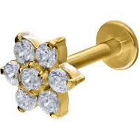 Wildcat Crystal Flower Push-Fit Labret - lävistyskoru - 9,0 mm, Kultainen metalli